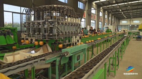 Il forum del servizio di origine della standardizzazione del primo frutto