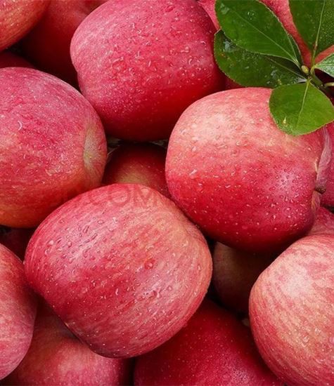 Tutti i tipi di mele