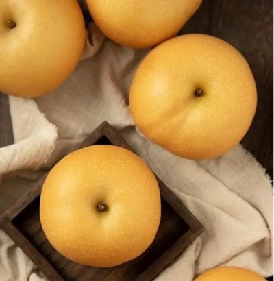 Pera asiatica gigante