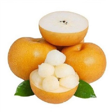 Pera asiatica Qiuyue